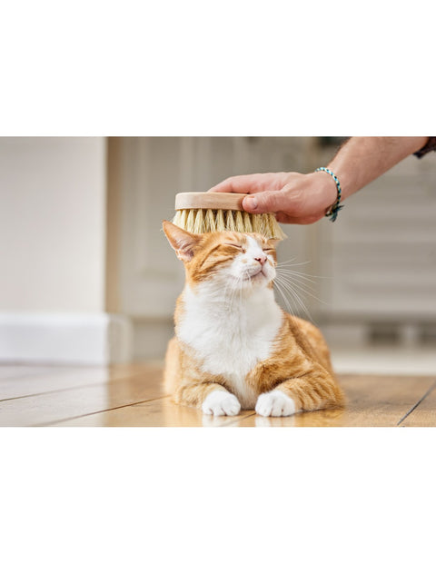 Ręcznie robiona bukowa szczotka dla kota z włosiem z włókien tampico