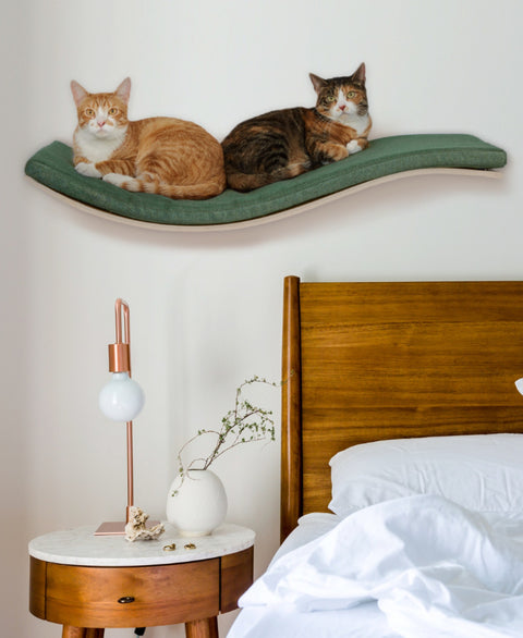 CHILL DeLUXE Cat Shelf - MAKE YOUR OWN