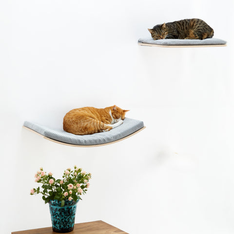SCANDINC cat shelves SET - Cosy and Dozy