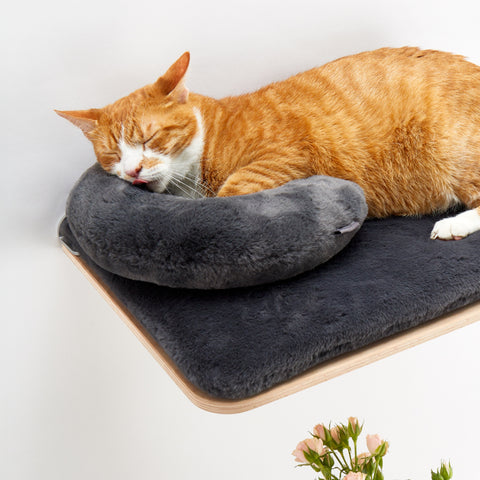 Cat Neck Pillow - Cosy and Dozy