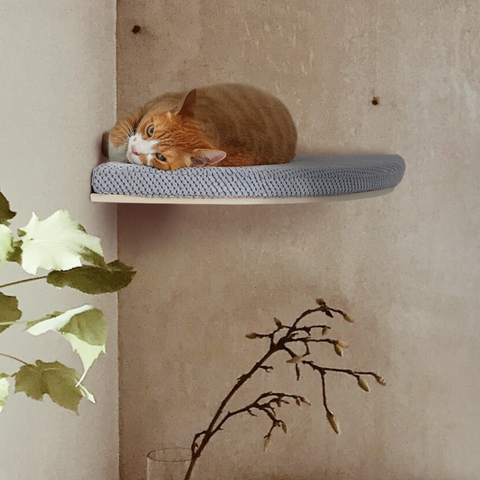 Chill Corner Cat Shelf - BASIC