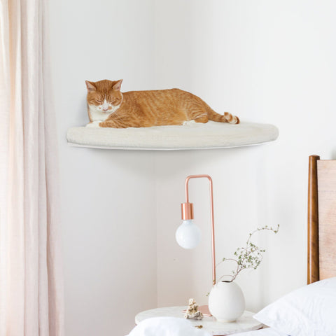 LIMITED EDITION WHITE Corner Cat Shelf