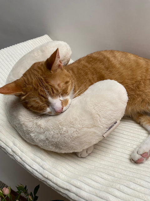 Cat Neck Pillow - Cosy and Dozy