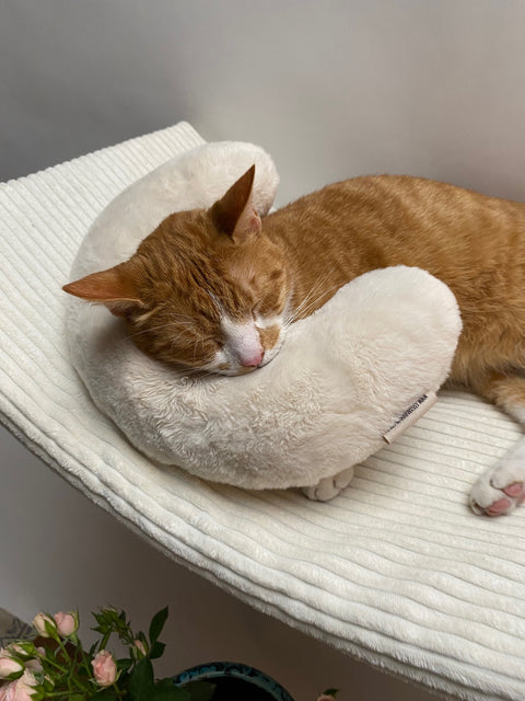 Cat Neck Pillow - Cosy and Dozy