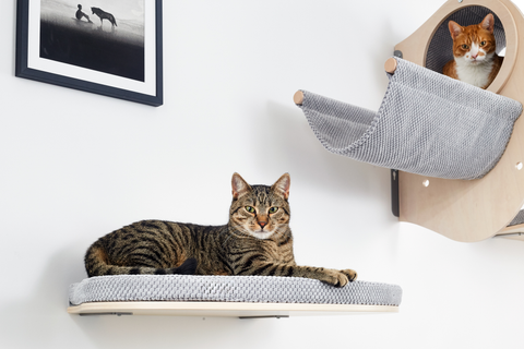 Cushion Catwalk Rest - Cosy and Dozy