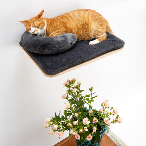 Scandic Cat Shelf - Cosy and Dozy