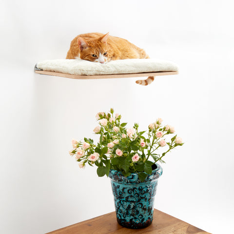 Scandic Cat Shelf - Cosy and Dozy