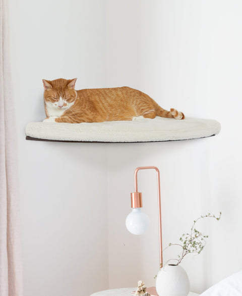 Narożna półka dla kota Chill Corner - STWÓRZ SWOJĄ WŁASNĄ