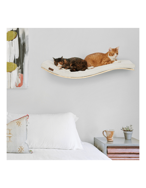 Cushion Pad Chill Deluxe Shelf