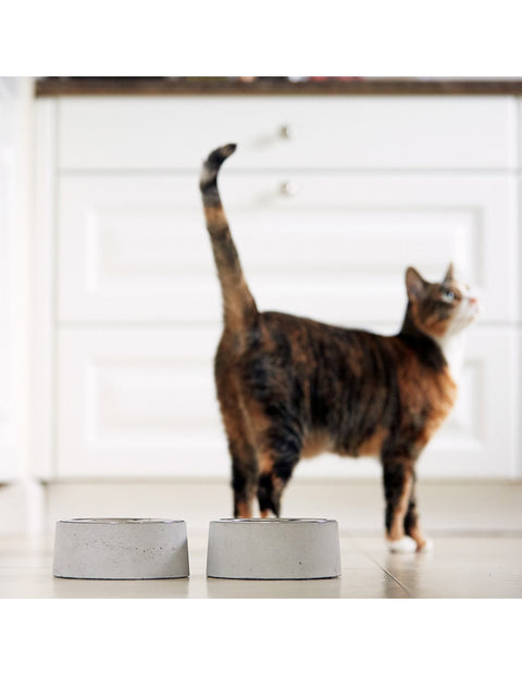 Ręcznie robiona betonowa miska z metalowym wkładem dla kota - Won Ton Bowl