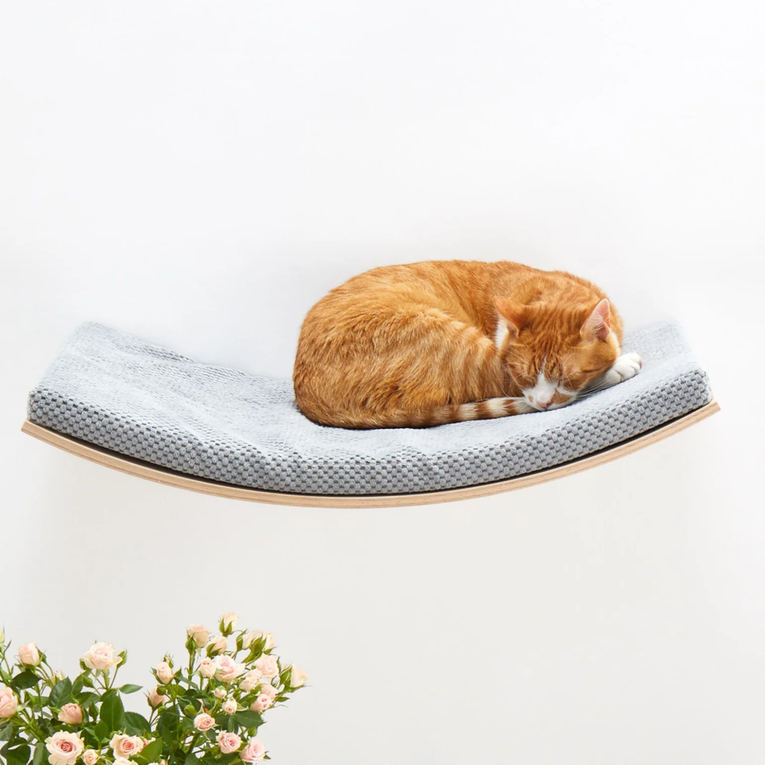 Scandic cat Shelf - Image 2