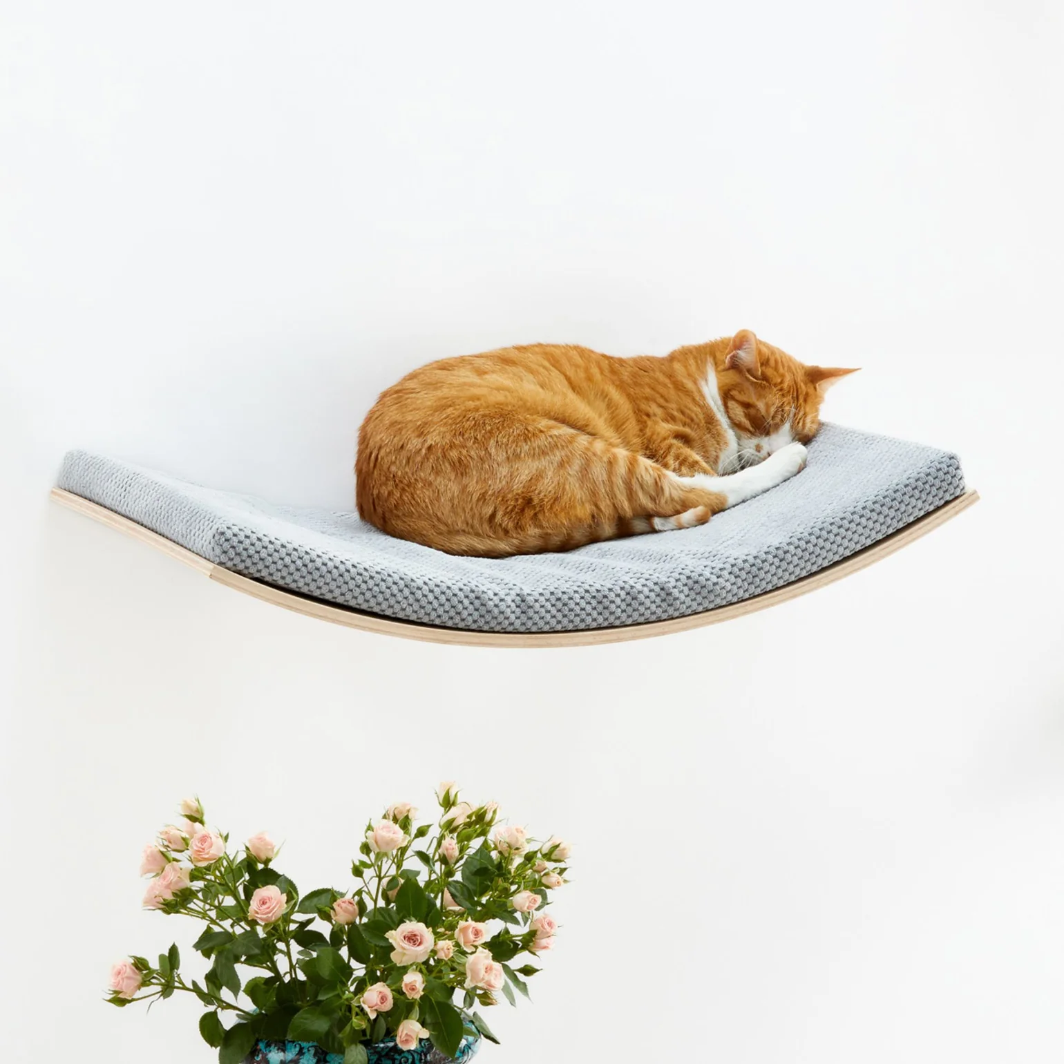 Scandic II Cat Shelf | COSY AND DOZY
