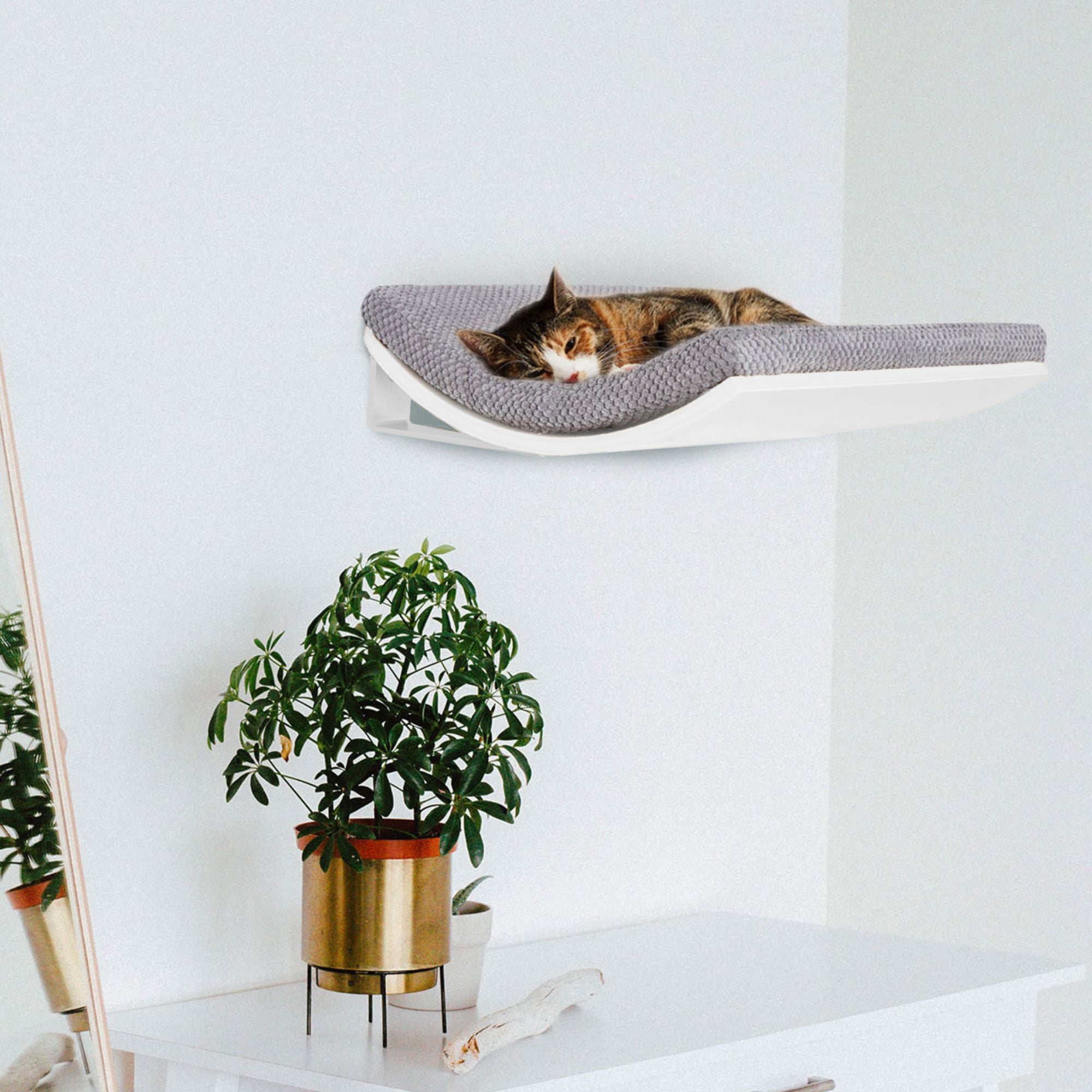 Chill Cat Shelf