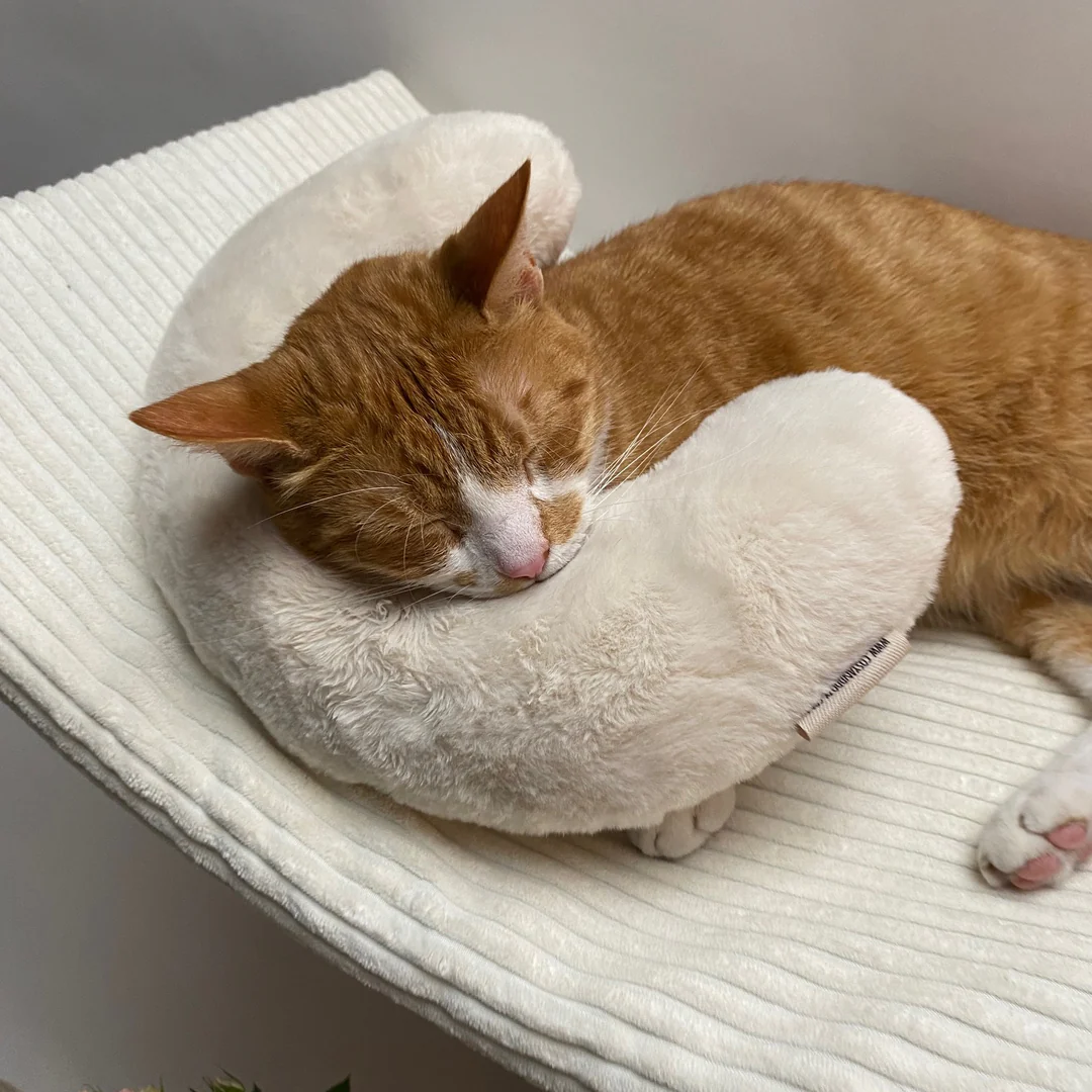 Cat Neck Pillow - Image 2