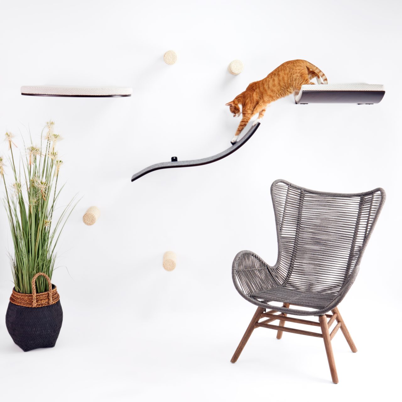 Wave Bridge cat shelf - Image 7