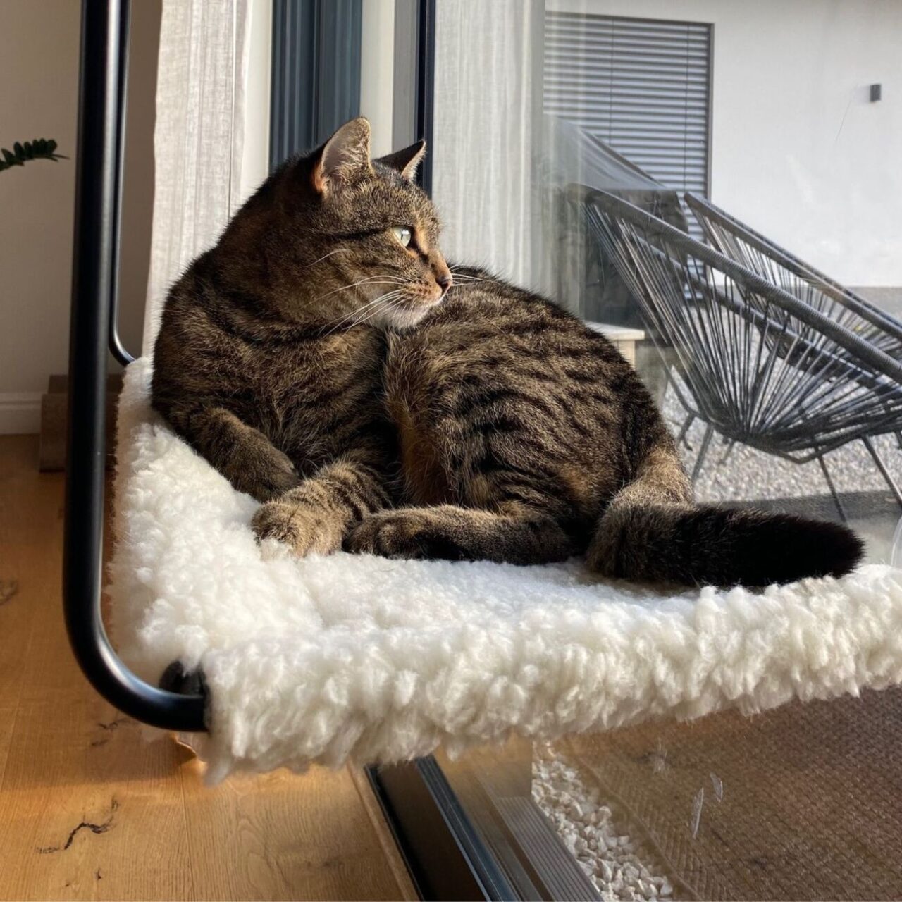 Horizon Cat Hammock - Image 5