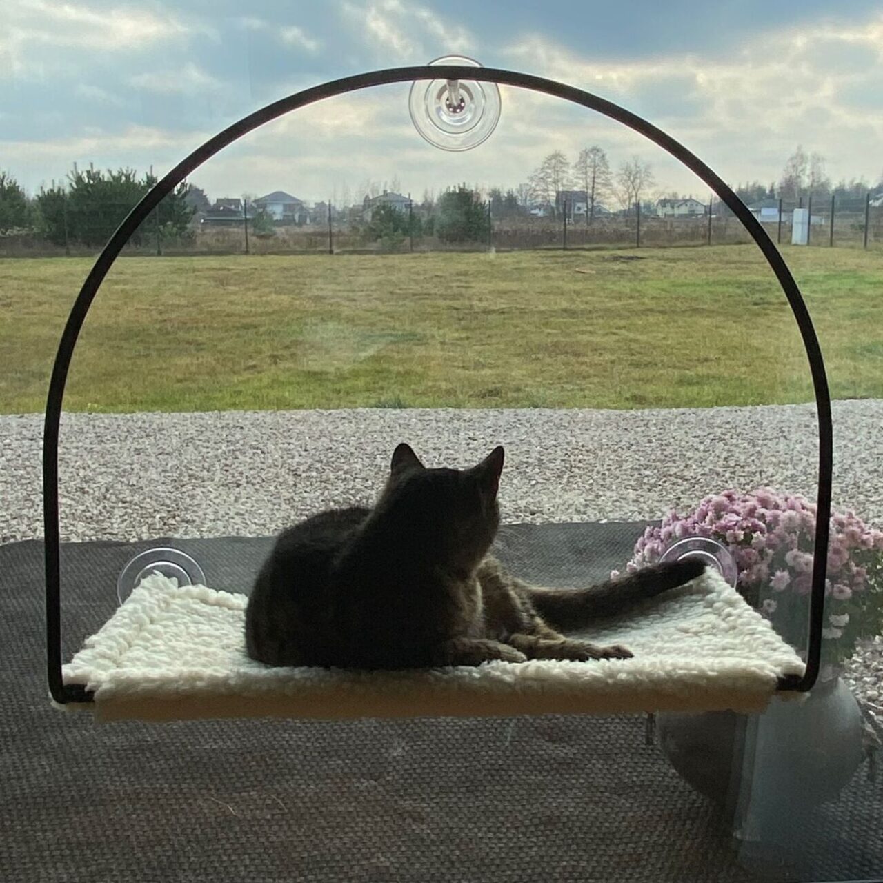 Horizon Cat Hammock - Image 6