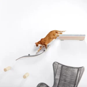 Chill Shelf + Wave Bridge + 3 x Sisal Climbing Steps Set