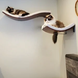 Chill Deluxe Shelf + Chill Shelf Set