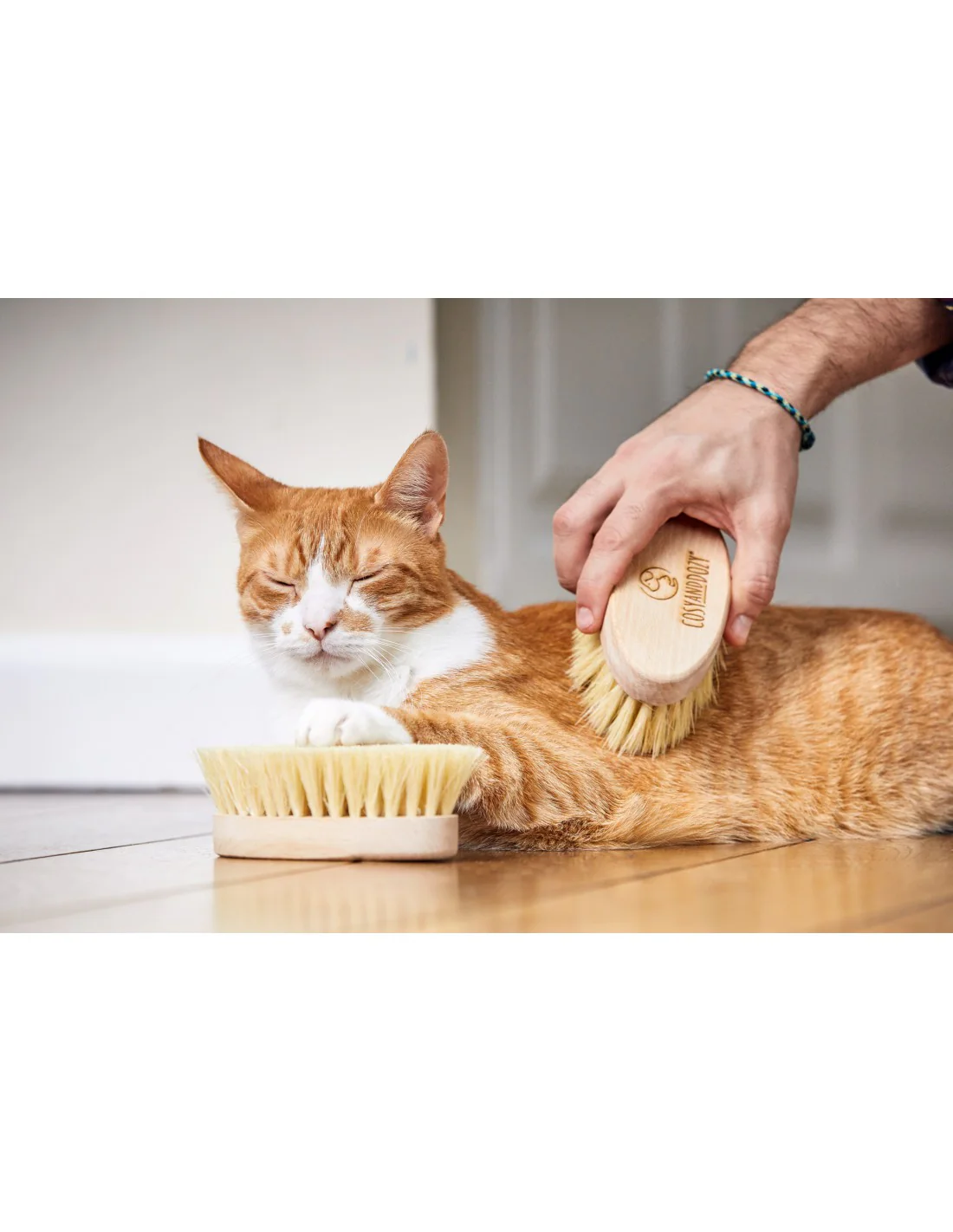 Cat Brush - Image 4