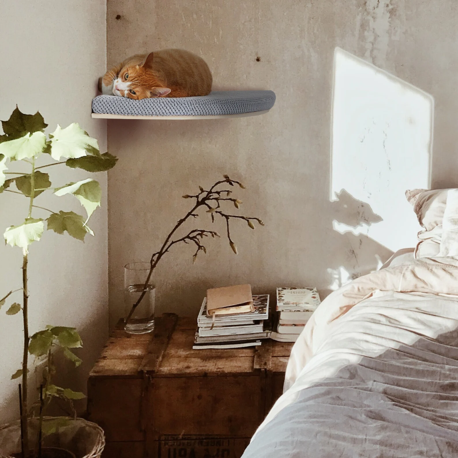Chill Corner Cat Shelf | COSY AND DOZY
