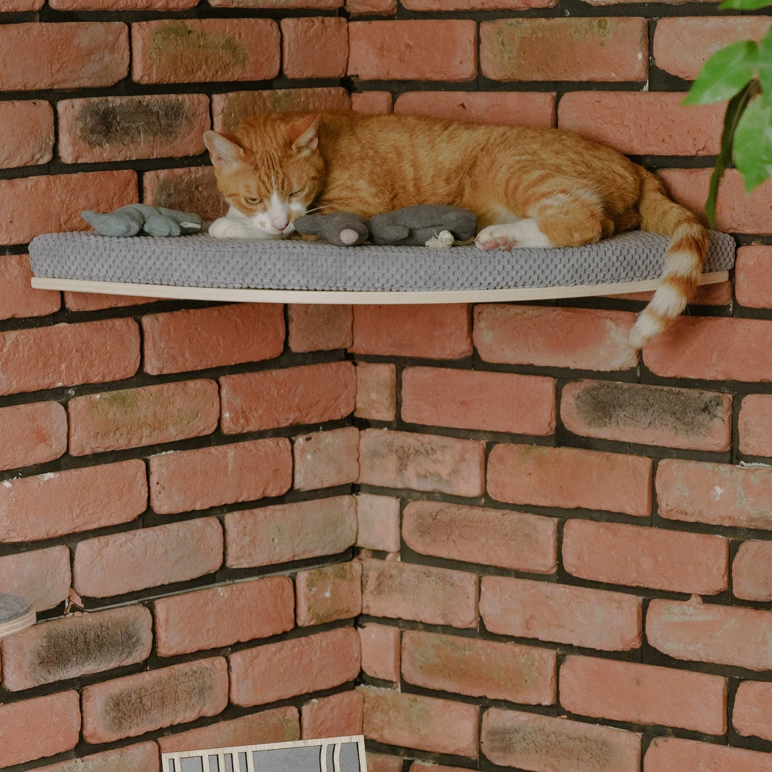 Chill Corner Cat Shelf COSY AND DOZY