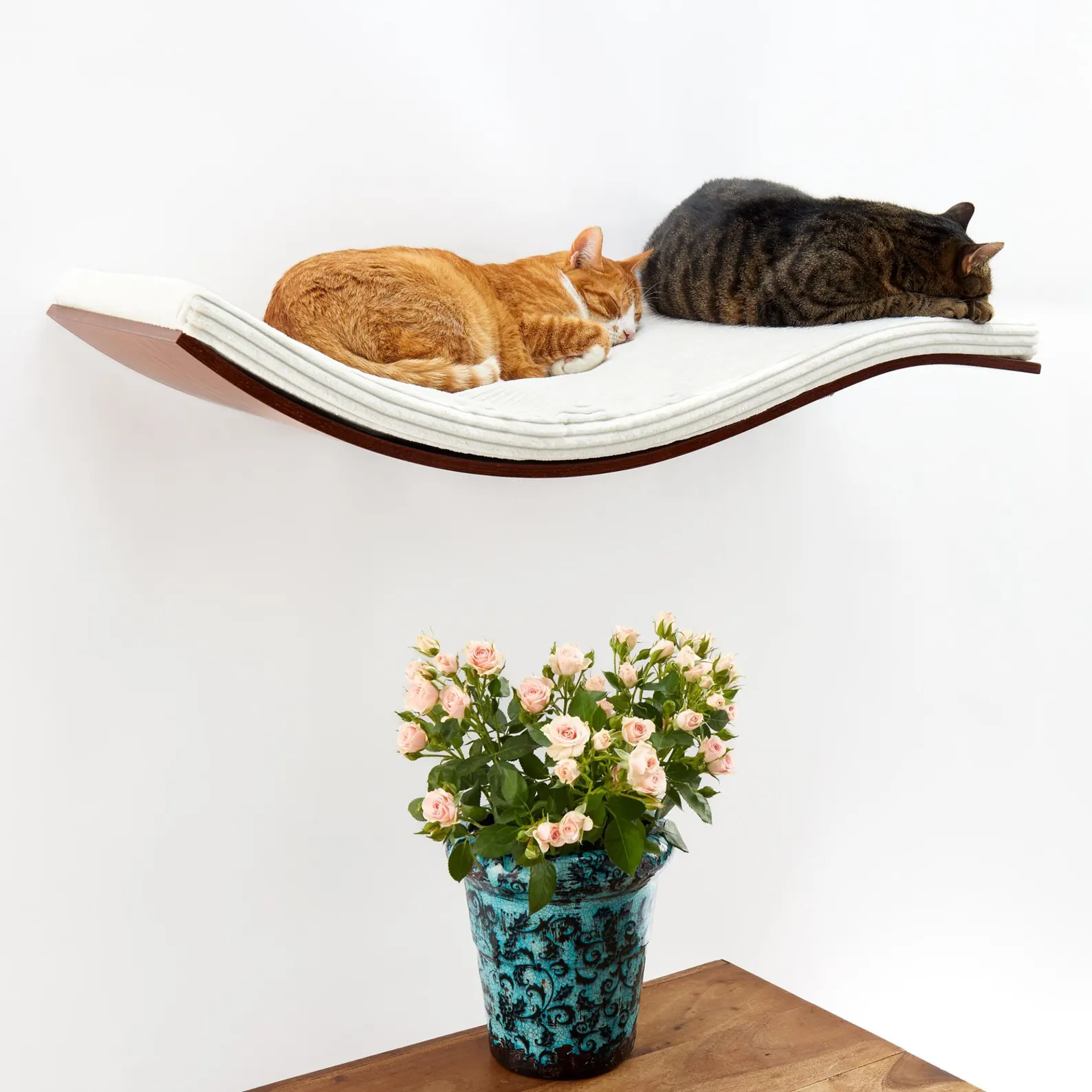 Chill Deluxe Cat Shelf | COSY AND DOZY